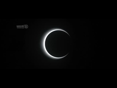 Cổng xoay tốc độ AC100-240V Tòa nhà văn phòng Cổng rào cản tốc độ quang học